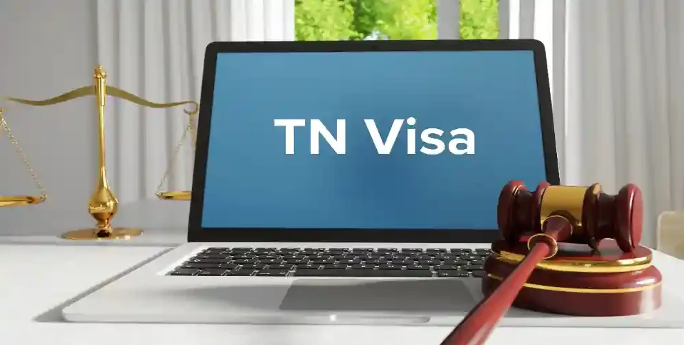 TN Visa Employer