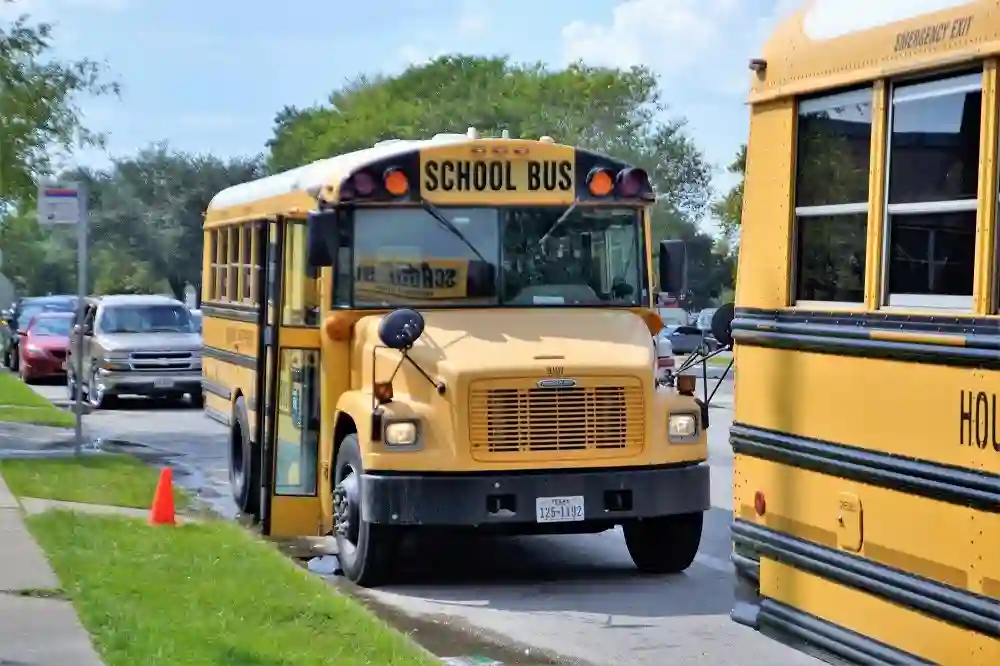 Mini School Buses