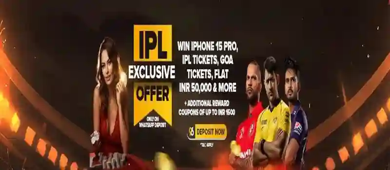IPL Insights Winning Bets